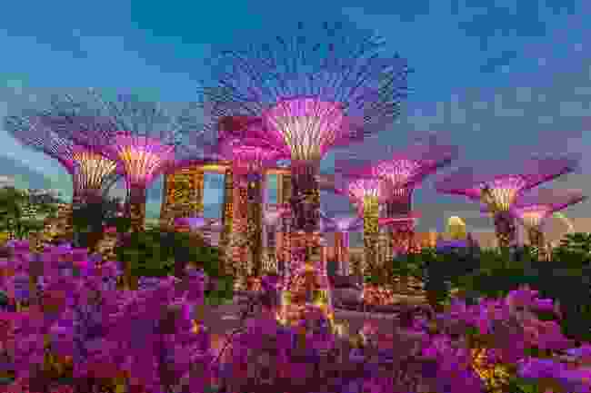 Singapore Gardens (Shutterstock)
