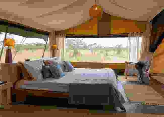 Double tent at Kicheche Bush Camp (Kicheche Bush camp)