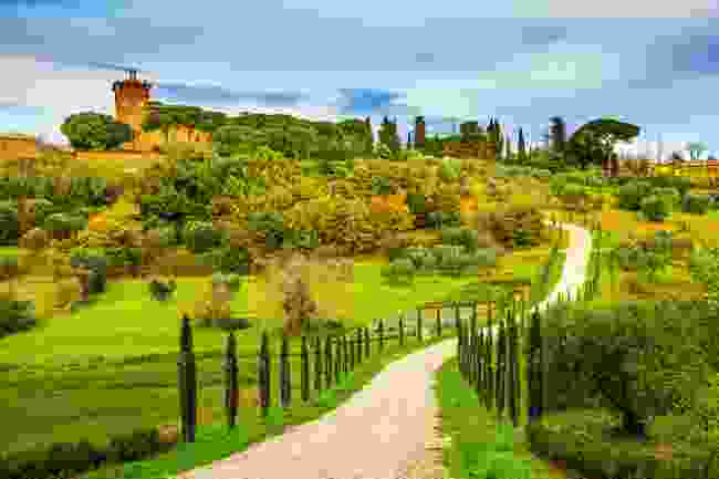 Road through Tuscany (Shutterstock)