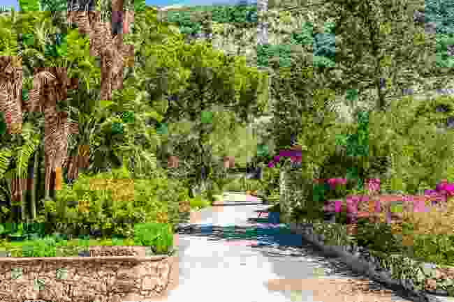 Gibraltar Botanic Gardens (Shutterstock)