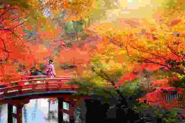 Autumn colours in Japan (Shutterstock)